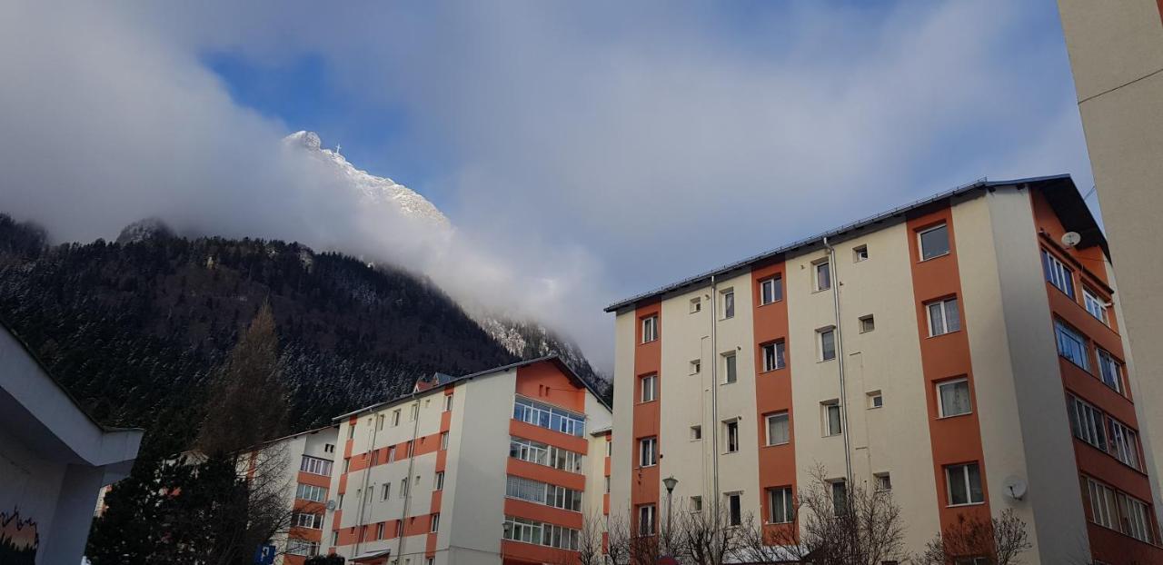 Apartament Silva Buşteni Exteriör bild